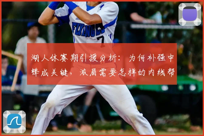 湖人休赛期引援分析：为何补强中锋成关键，浓眉需要怎样的内线帮手？